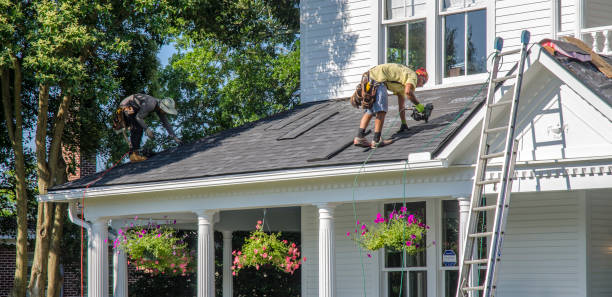 Best Roof Gutter Cleaning  in Richville, OH